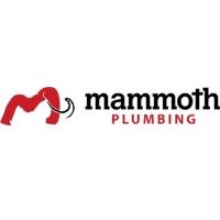 Mammoth Plumbing image 1